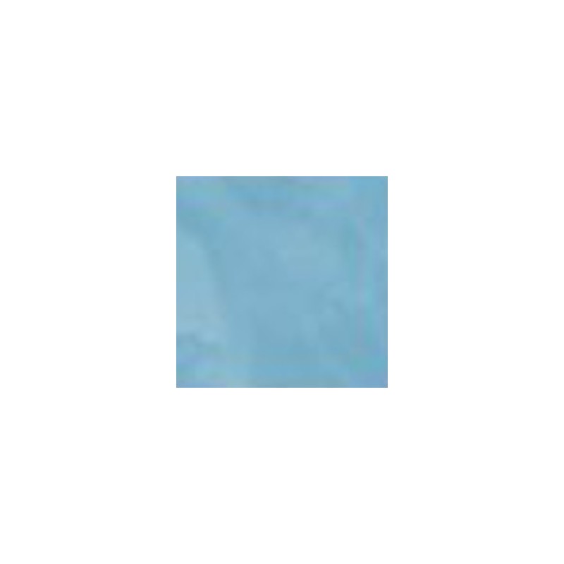 Myosotis Myosotis