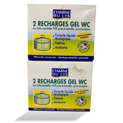 Recharge Bloc gel wc x2