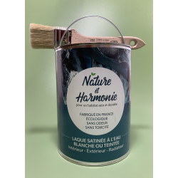 Laque à l'eau Mat-Satinée Blanche N&H