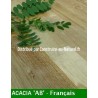 Parquet massif en robinier