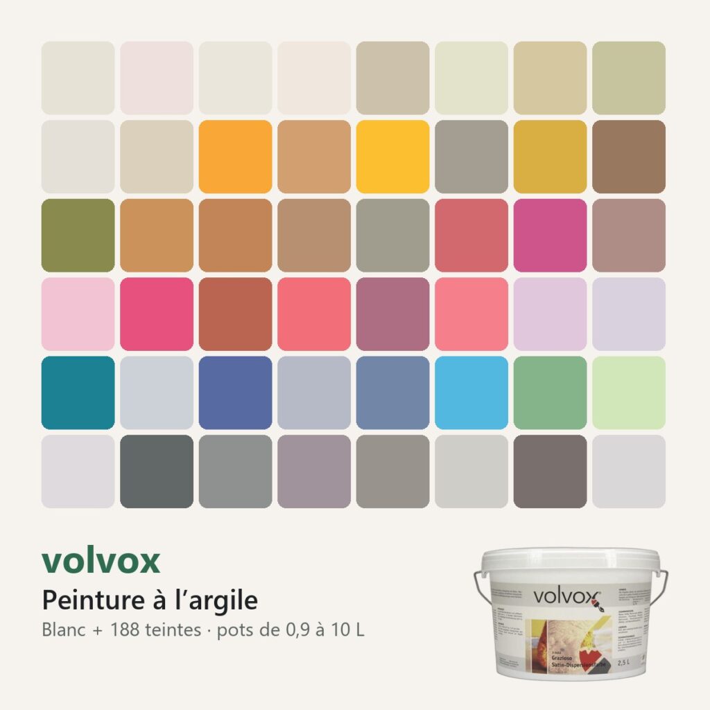 Peinture à l'argile volvox