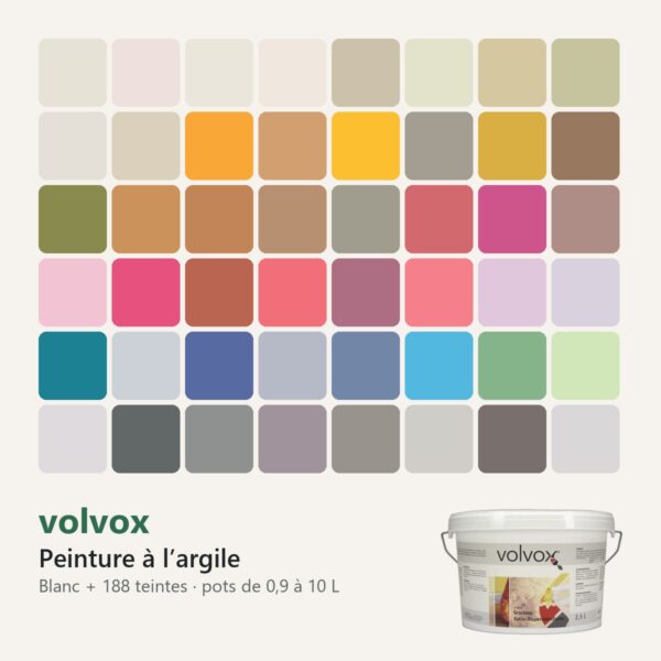 Peinture à l'argile volvox