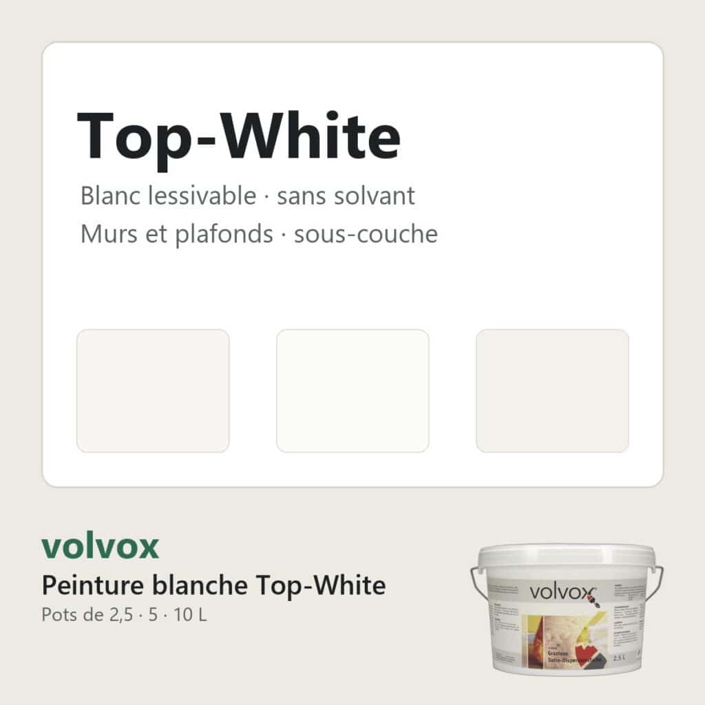 Peinture blanche Top-White volvox