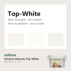 Peinture blanche Top-White volvox