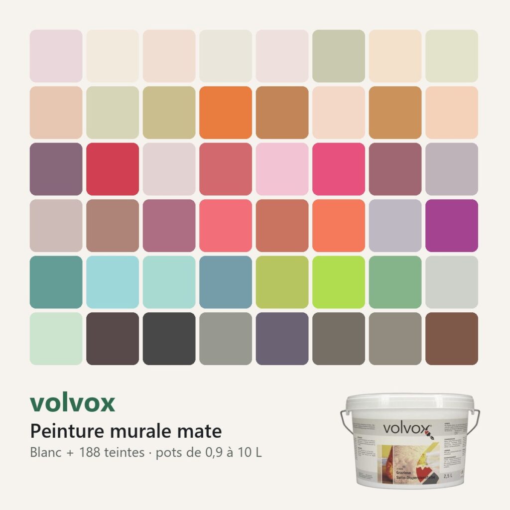 Peinture murale mate volvox